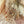 Load image into Gallery viewer, 3D Crystal Point Back - Maillard 50 set