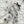 Load image into Gallery viewer, AJISAI Nail Art Accessories - Rose Garden Collection