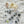 Load image into Gallery viewer, AJISAI Nail Art Accessories - Rose Garden Collection