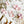 Load image into Gallery viewer, AJISAI Premium Crystal Pointed-back Rose Moonlight Shimmer Set