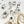 Load image into Gallery viewer, AJISAI Premium Crystal Pointed-back Clear Set