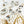 Load image into Gallery viewer, AJISAI Premium Crystal Pointed-back Clear Set