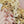 Load image into Gallery viewer, AJISAI 10pc Nail Art Box - Happy Holidays!