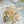 Load image into Gallery viewer, AJISAI Nail Art Accessories - Botanical Garden Summer Collection