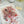 Load image into Gallery viewer, AJISAI Nail Art Accessories - Botanical Garden Fall Collection