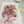 Load image into Gallery viewer, AJISAI Nail Art Accessories - Botanical Garden Fall Collection