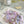 Load image into Gallery viewer, AJISAI Nail Art Accessories - Botanical Garden Summer Collection