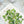 Load image into Gallery viewer, AJISAI Premium Crystal Pointed-back Clear Mix Collection