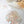 Load image into Gallery viewer, Nail Shell Chips