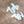 Load image into Gallery viewer, AJISAI Nail Art - White Thin Shell Slice