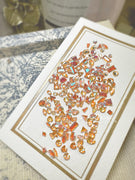 AJISAI Luxury Zircon Collection Mini Point Back Mixed Style