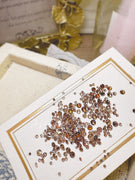 Luxury Zircon Collection Mini Point Back Mixed Style