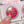 Load image into Gallery viewer, Maogel Christmas Coffret 2024 Limited Edition
