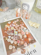 AJISAI Nail Art Accessories - Botanical Garden Spring Collection