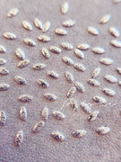 AJISAI Matte Mariquesa Metal Rivet